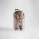 ایده های خلاق و نوآورانه تبلیغاتی