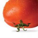 ایده های خلاق و نوآورانه تبلیغاتی