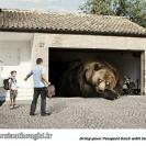 ایده های خلاق و نوآورانه تبلیغاتی