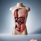 ایده های خلاق و نوآورانه تبلیغاتی