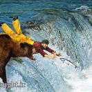 ایده های خلاق و نوآورانه تبلیغاتی